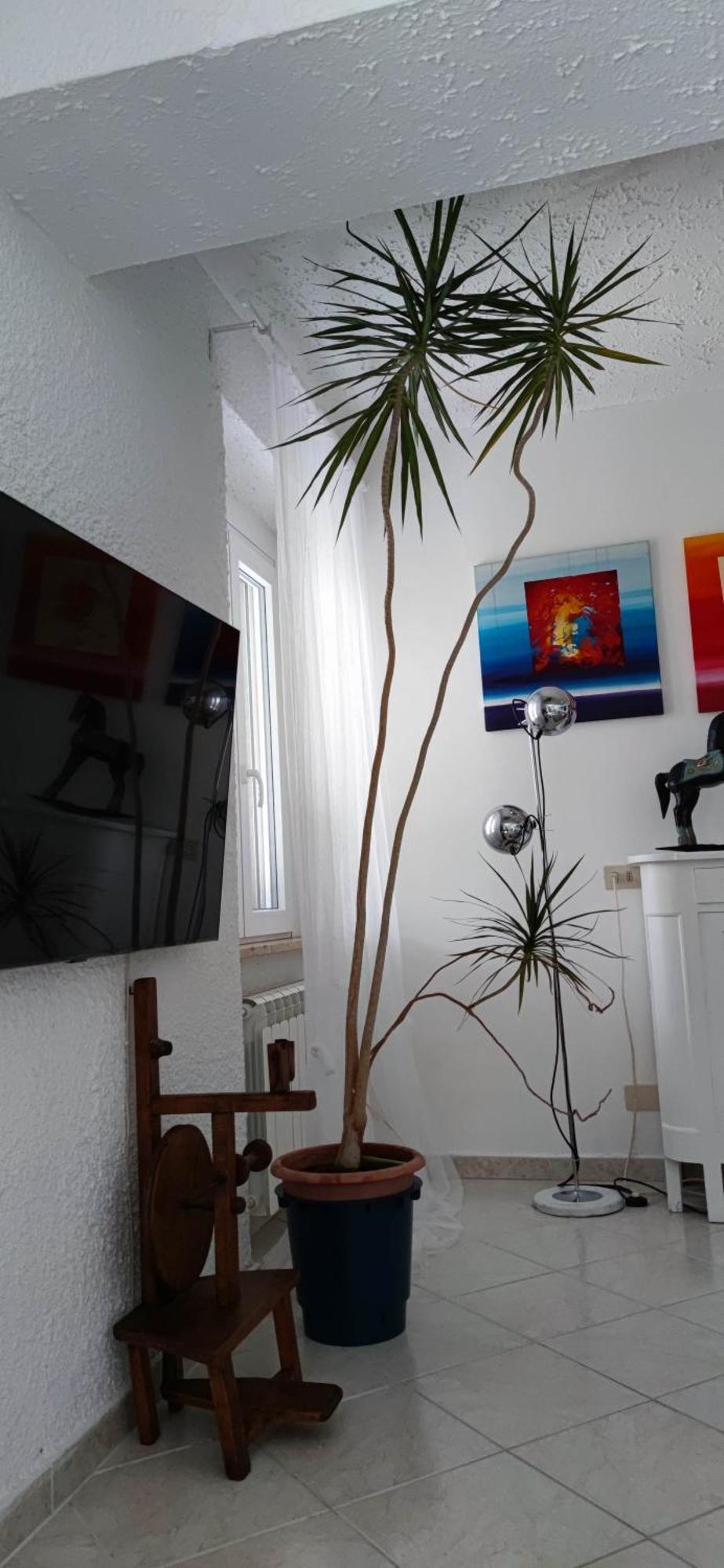 Apartament Residenza Bertolini Fosdinovo Zewnętrze zdjęcie